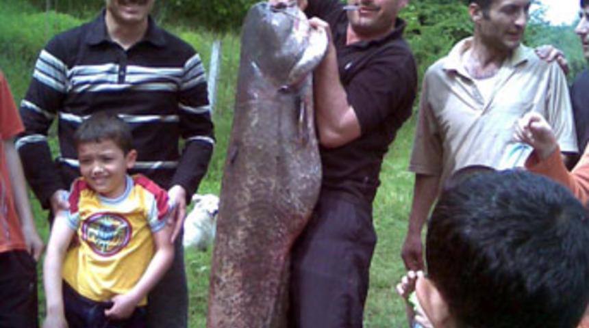 Ev kadını dev yayın balığı yakaladı