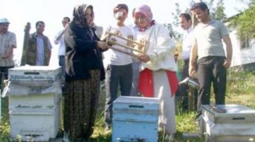 Yığılca Arısı D&uuml;zce &Uuml;niversitesi'ne &ouml;d&uuml;l kazandırdı