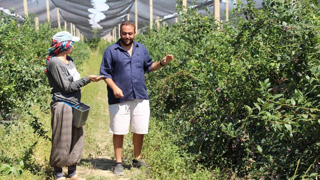 'D&uuml;nyada en &ccedil;ok satılan 2. meyve' &Ccedil;in'den d&ouml;n&uuml;p başladı