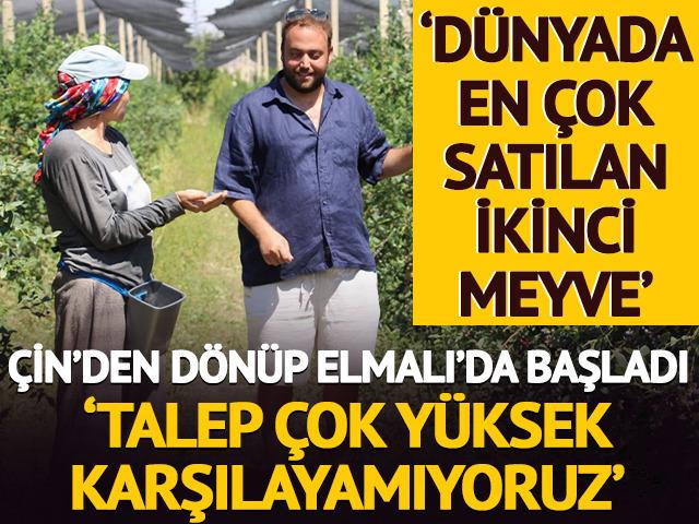 'D&uuml;nyada en &ccedil;ok satılan 2. meyve' &Ccedil;in'den d&ouml;n&uuml;p başladı