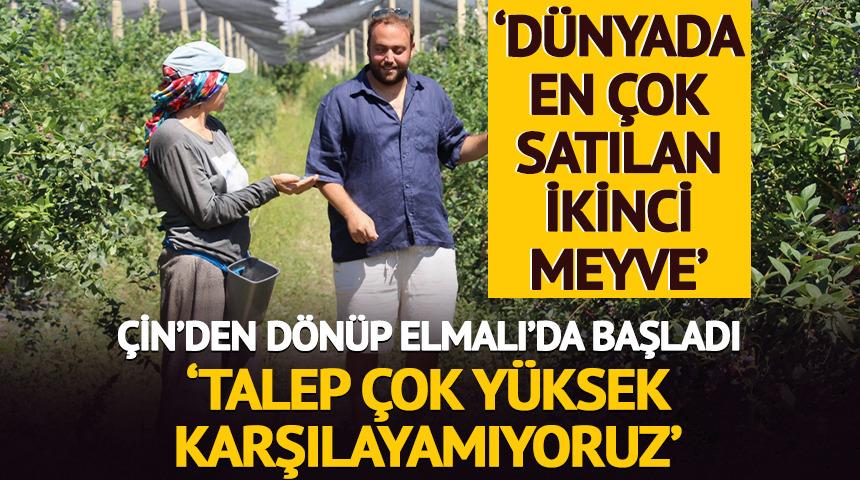 'D&uuml;nyada en &ccedil;ok satılan 2. meyve' &Ccedil;in'den d&ouml;n&uuml;p başladı