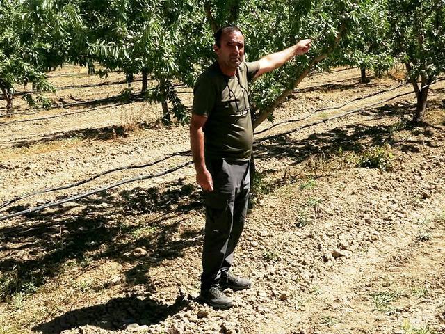 Araştırırken badem a&ccedil;ığını fark edip işe girişti: 10 ton bekliyor