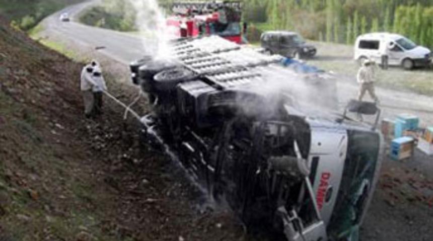 Arı y&uuml;kl&uuml; kamyon devrildi