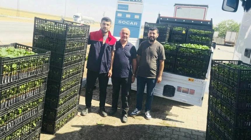 Cizre&rsquo;de &ccedil;ift&ccedil;ilere y&uuml;zde 75 hibeli fide desteği