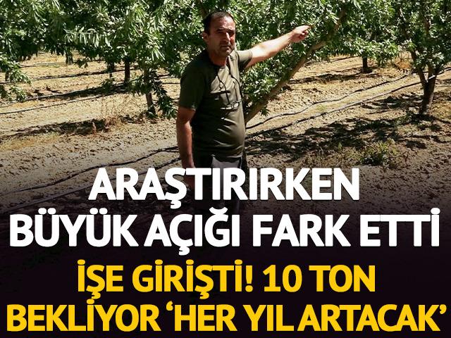 Araştırırken badem a&ccedil;ığını fark edip işe girişti: 10 ton bekliyor