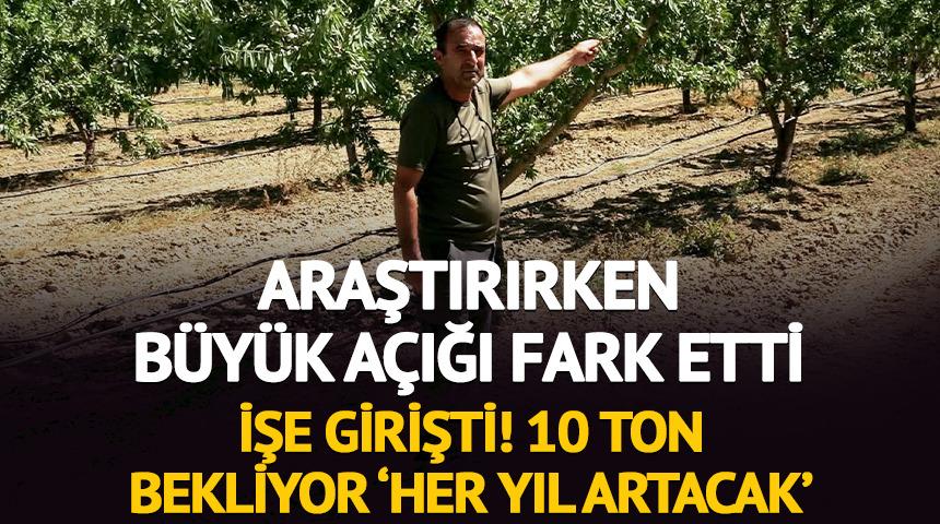 Araştırırken badem a&ccedil;ığını fark edip işe girişti: 10 ton bekliyor