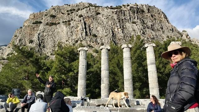 Ekosistemi koruma ve priene antik kenti üzerine
