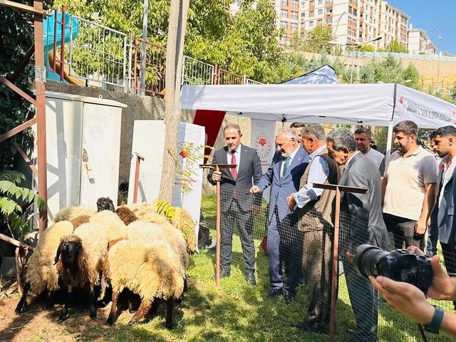sırnak’ta tarımsal üretim artışı ve göçer hayvancılığı desteği 3