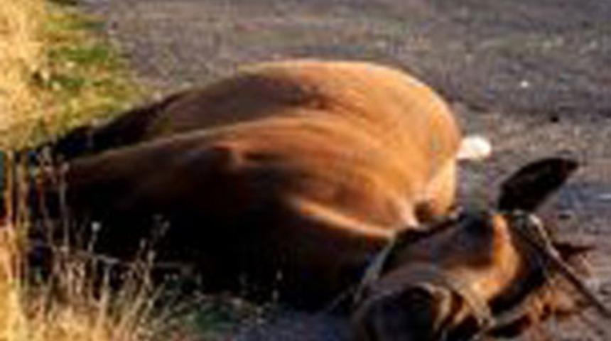 Motosiklet ata &ccedil;arptı, s&uuml;r&uuml;c&uuml; &ouml;ld&uuml;