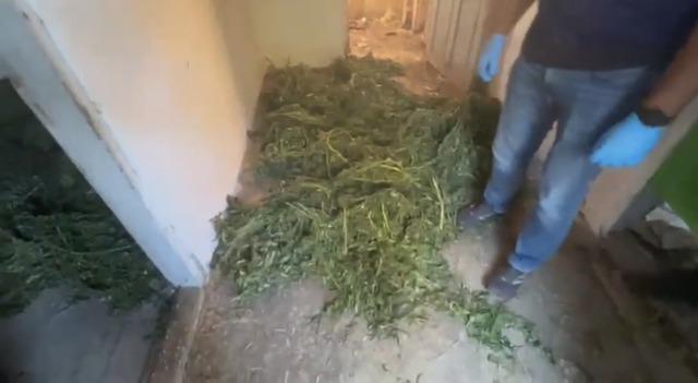 Bafra’da 63 kilo kubar esrar ele geçirildi 6