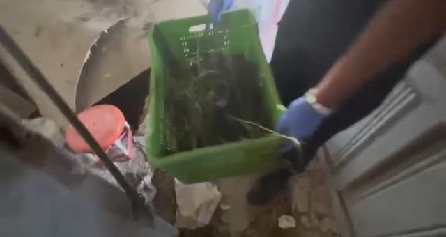 Bafra’da 63 kilo kubar esrar ele geçirildi 5