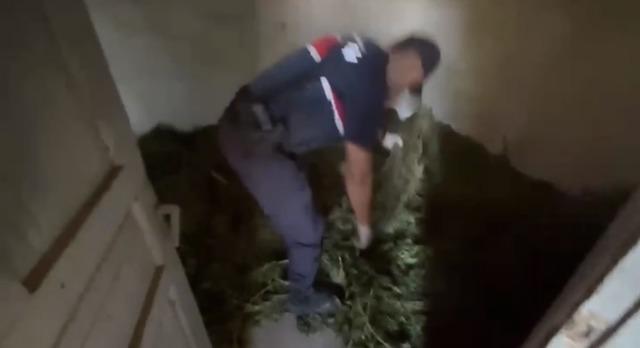 Bafra’da 63 kilo kubar esrar ele geçirildi 4