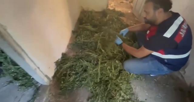 Bafra’da 63 kilo kubar esrar ele geçirildi 3