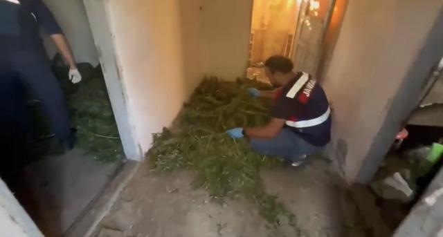 Bafra’da 63 kilo kubar esrar ele geçirildi 2