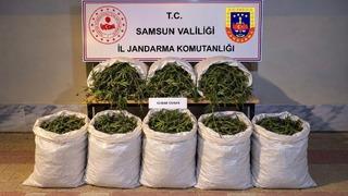 Bafra’da 63 kilo kubar esrar ele geçirildi