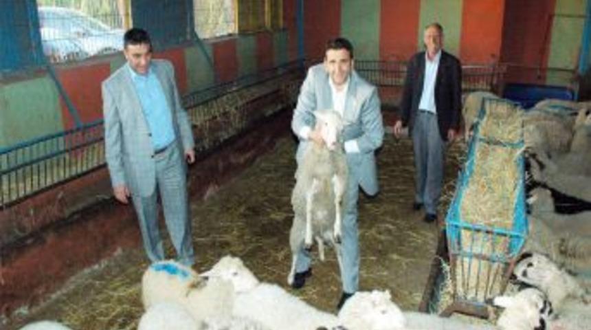 İstanbul&rsquo;a Tarım ve Hayvancılık Sanayi Sitesi kuruluyor