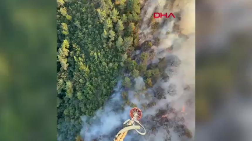 Manisa'da bir orman yangını daha &ccedil;ıktı