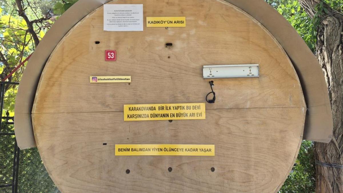 Dev arı kovanında bal üretip yoldan geçenlere dağıtıyor! Bunu İstanbul un göbeğinde yapıyor: "Guinness e başvurdum" 5
