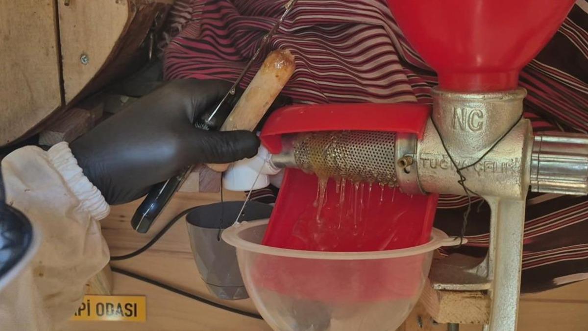 Dev arı kovanında bal üretip yoldan geçenlere dağıtıyor! Bunu İstanbul un göbeğinde yapıyor: "Guinness e başvurdum" 3