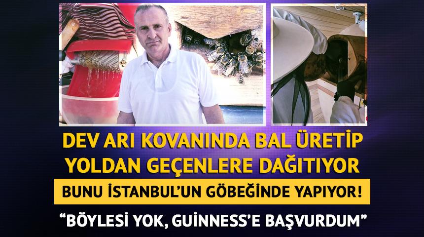Dev arı kovanında bal &uuml;retip yoldan ge&ccedil;enlere dağıtıyor!