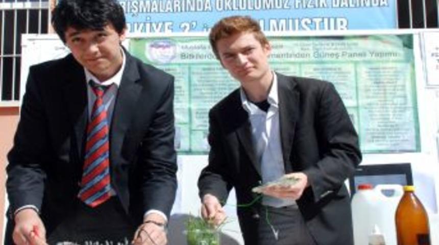 Gen&ccedil; mucitler bitkiden elektrik &uuml;retti