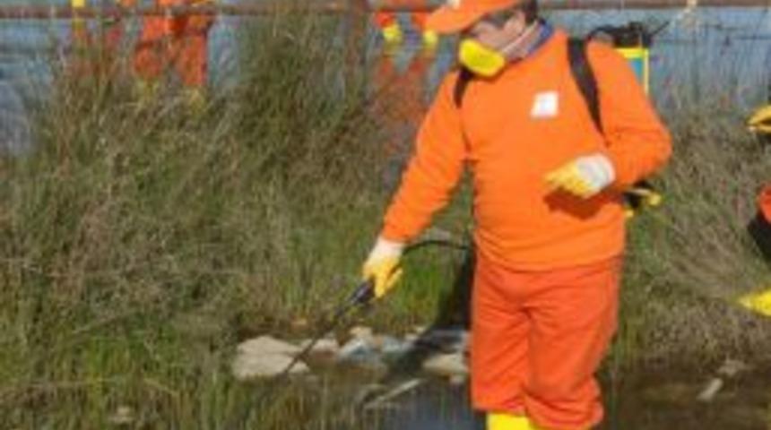 Adana'da sinekle m&uuml;cadele &ccedil;alışmaları devam ediyor