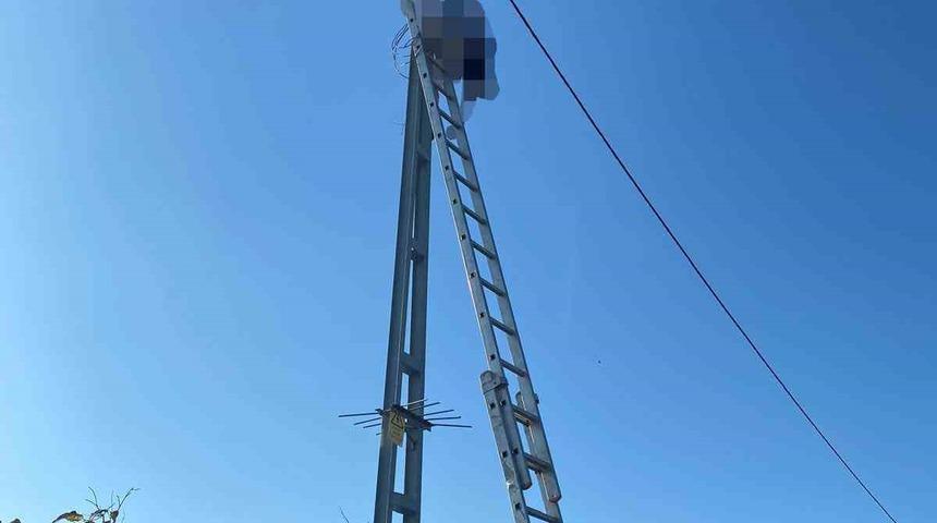 Yer: Sakarya! &Ccedil;ıktığı direkte akıma kapılan elektrik&ccedil;i hayatını kaybetti