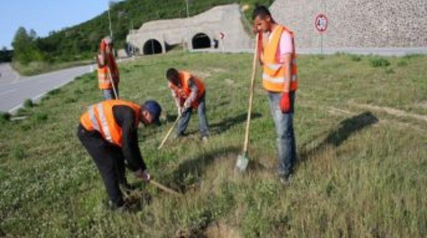 Giresun'da Karadeniz Sahil Yolu ağa&ccedil;landırılıyor