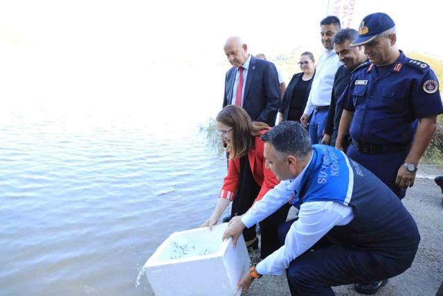 Yer: Bartın! 145 bin adet sazan balığı bırakıldı 2
