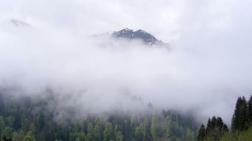 TEKDER &uuml;yeleri, aileleriyle Karadeniz'in eşsiz doğasını gezdi