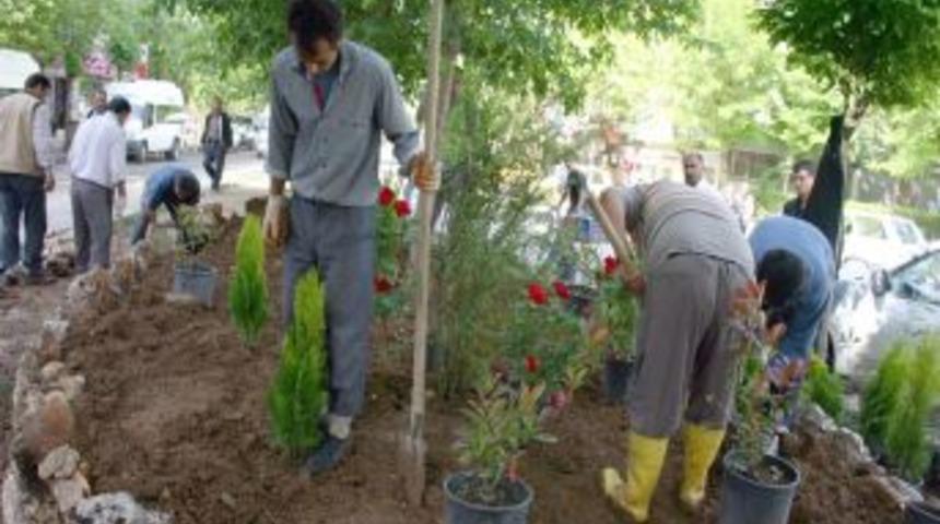 Siirt'te yeşillendirme &ccedil;alışmaları s&uuml;r&uuml;yor