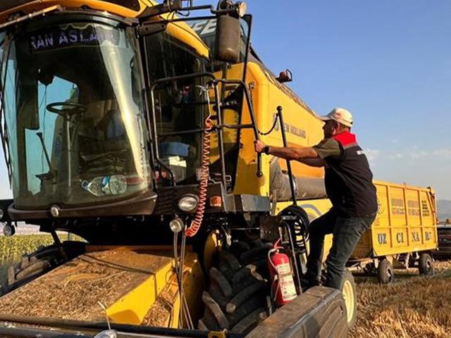 Yerli buğday "PARLA" soğuklara meydan okuyor