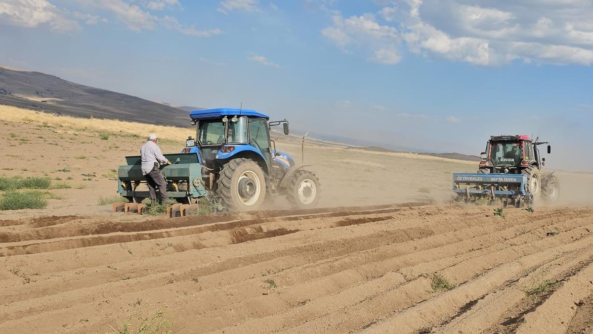 Adilcevaz da buğday ekim sezonu başladı 1