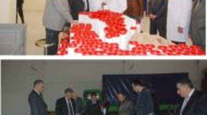 Alke ila&ccedil; deneme &uuml;retiminde