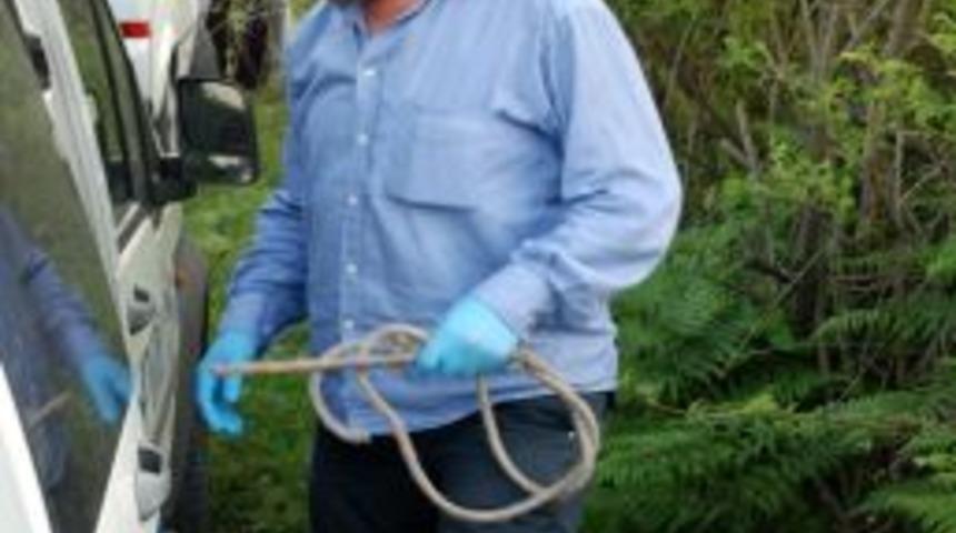 Ereğli'de 8 g&uuml;nd&uuml;r kayıp olan kişinin cesedi bulundu