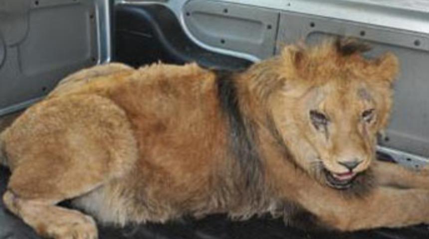 Kontrolde durdurulan ara&ccedil;tan bakın ne &ccedil;ıktı?