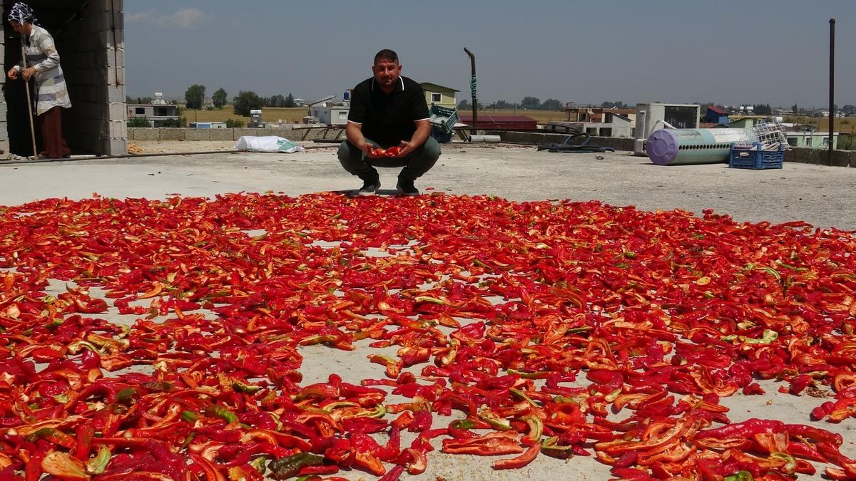Sofradan &ouml;nce damlara seriliyor! Kilosu 300 TL den satılıyor 4