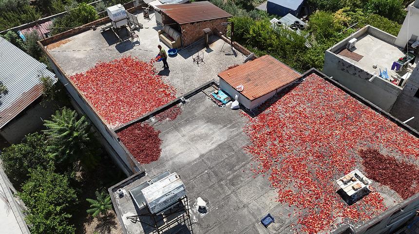 Sofradan &ouml;nce damlara seriliyor! Kilosu 300 TL'den satılıyor