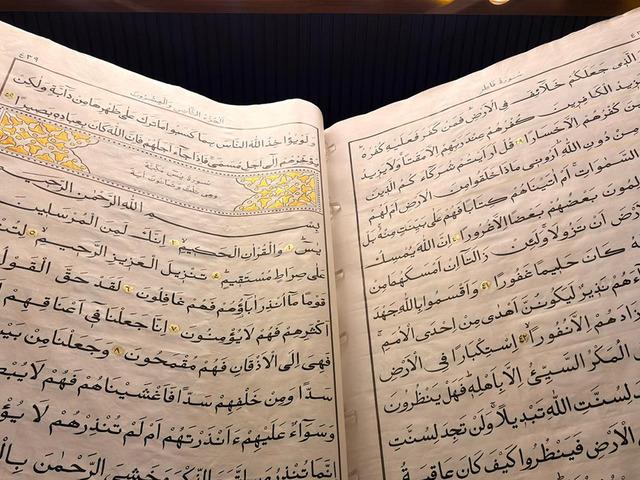D&uuml;nyanın ikinci b&uuml;y&uuml;k el yazması Kur'an-ı Kerim'i