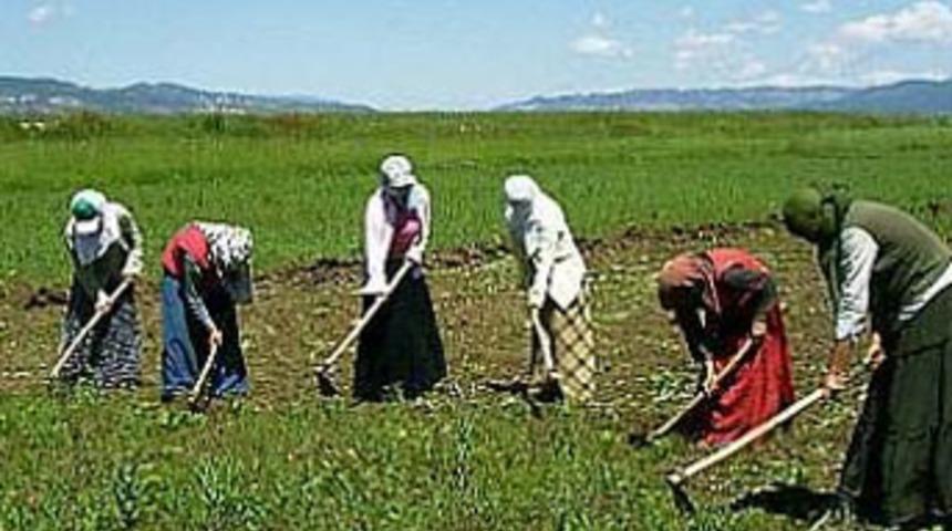 Mevsimlik işçilerin ders zili çaldı