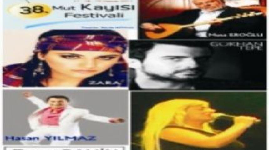 Kayısı Festivali 17 Haziran'da başlıyor