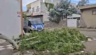 Siverek&rsquo;te etkili olan fırtına, tarlada &ccedil;alışan iş&ccedil;ilere zor anlar yaşattı