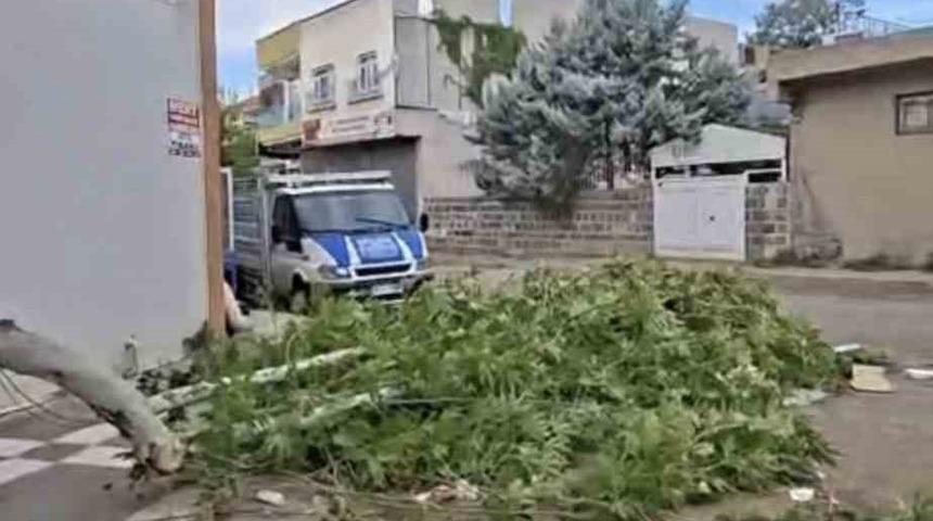 Siverek&rsquo;te etkili olan fırtına, tarlada &ccedil;alışan iş&ccedil;ilere zor anlar yaşattı