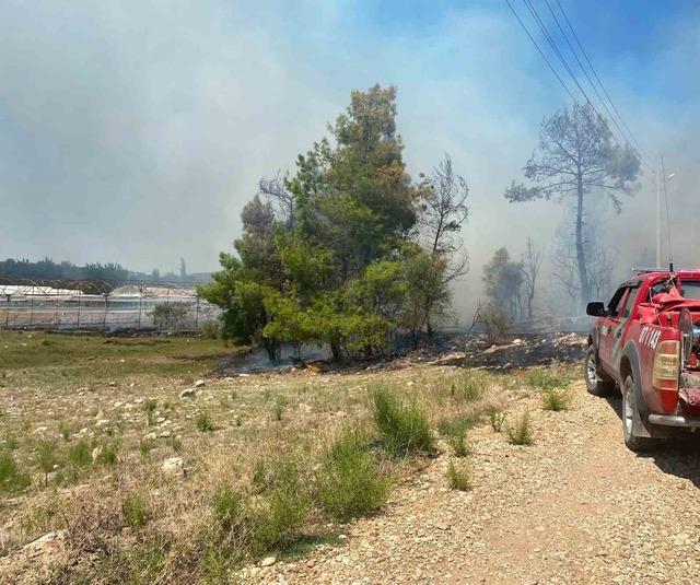 Antalya’da zirai alanda çıkan yangın büyümeden söndürüldü 1