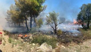 Antalya&rsquo;da  zirai alanda &ccedil;ıkan yangın b&uuml;y&uuml;meden s&ouml;nd&uuml;r&uuml;ld&uuml;