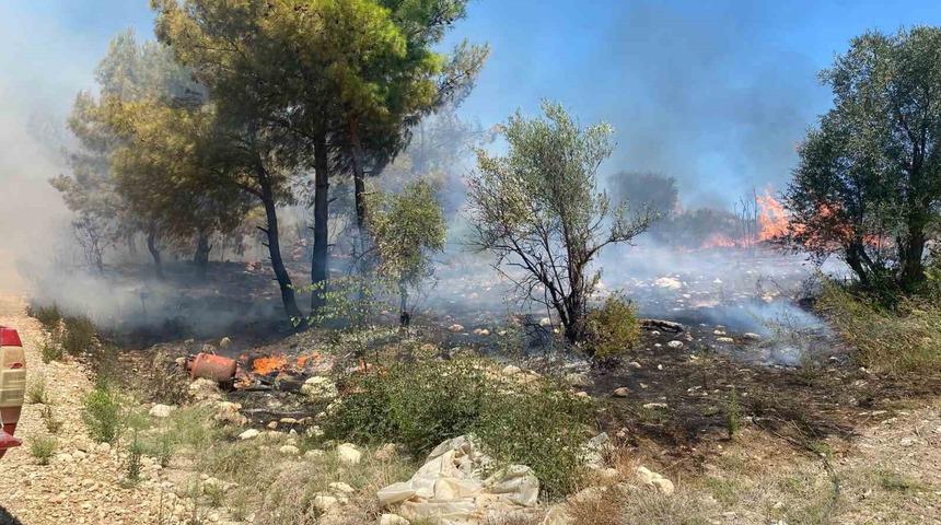 Antalya&rsquo;da  zirai alanda &ccedil;ıkan yangın b&uuml;y&uuml;meden s&ouml;nd&uuml;r&uuml;ld&uuml;