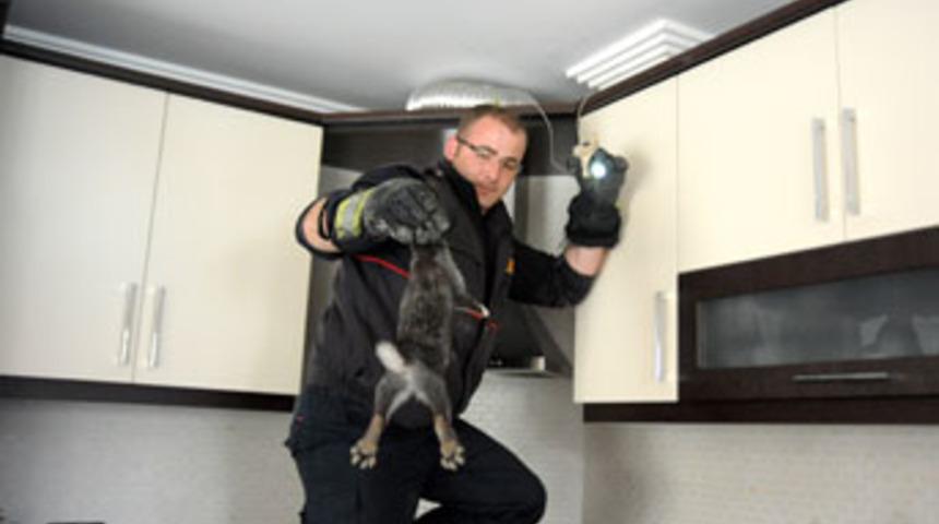 Bacaya d&uuml;şen tavşanı itfaiye kurtardı