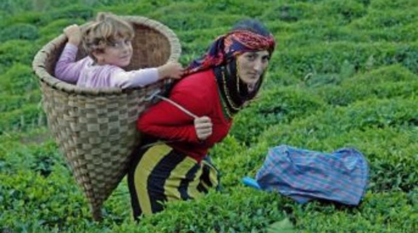 Rize'de &ccedil;ay fiyatı muamması