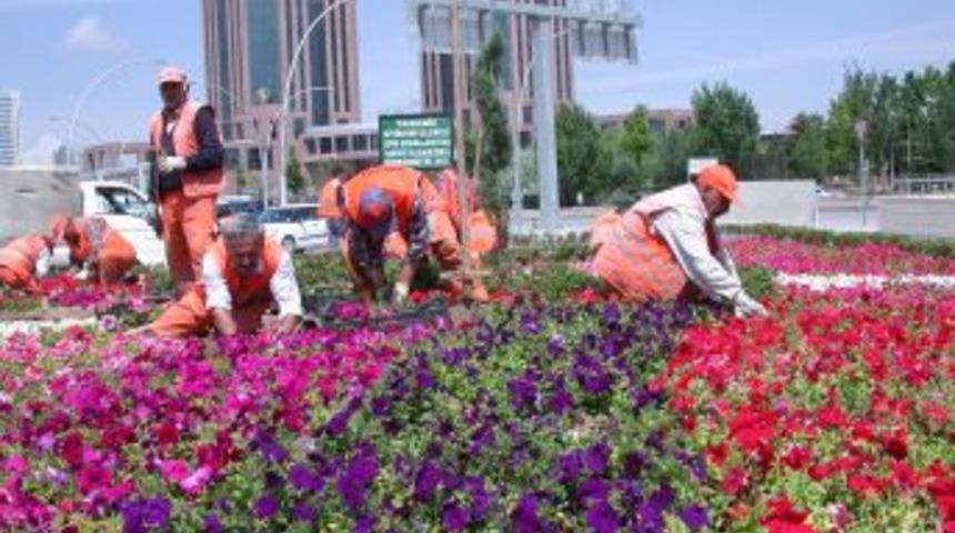 Başkent rengarenk &ccedil;i&ccedil;eklerle donatılıyor