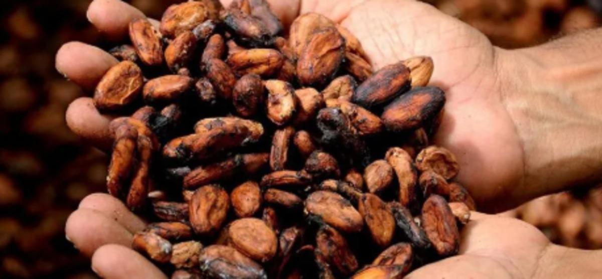 Altında dengeler değişiyor mu? Merkez bankalarının altın hamlesi dikkat &ccedil;ekti 9